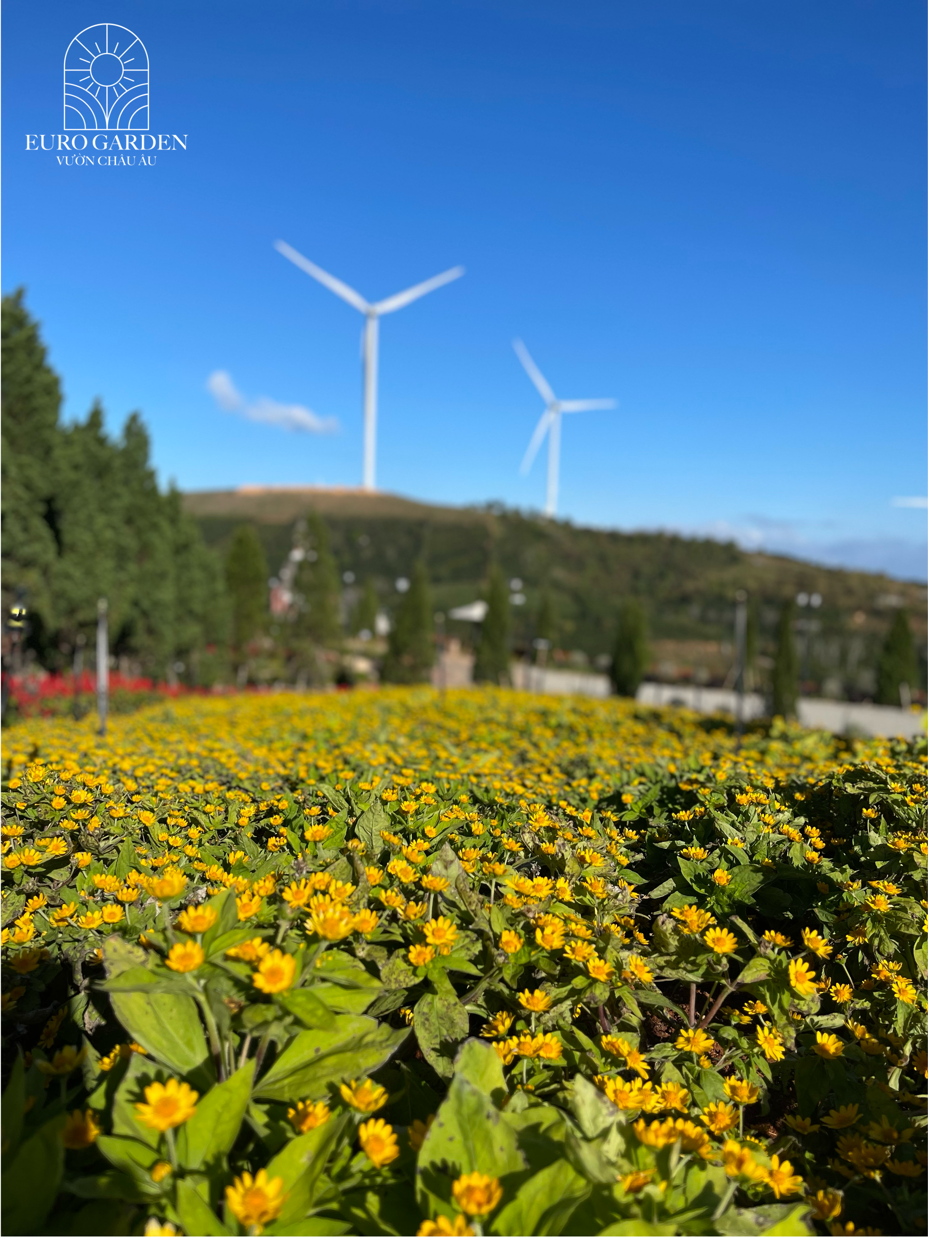 Vườn du lịch euro garden