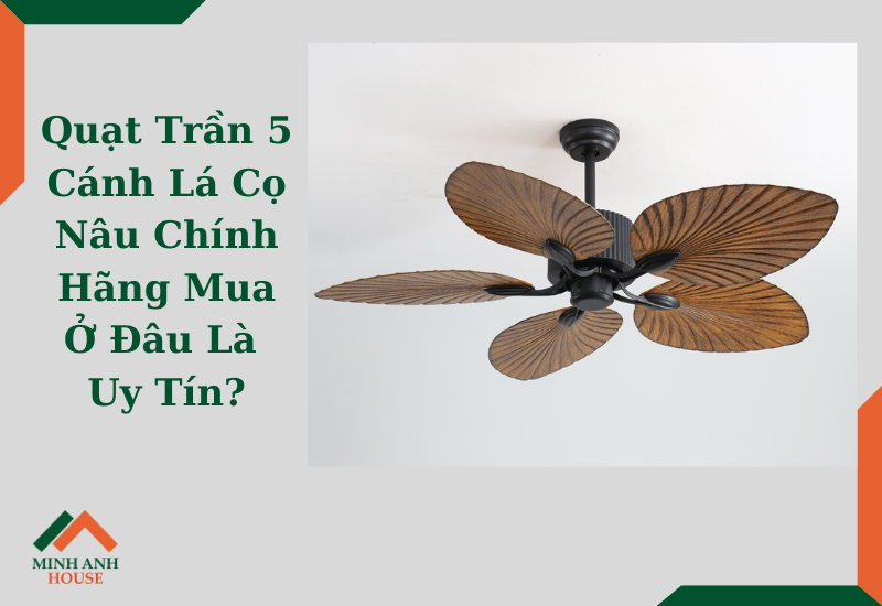 Quạt Trần 5 Cánh Lá Cọ Nâu Chính Hãng Mua Ở Đâu Là Uy Tín?