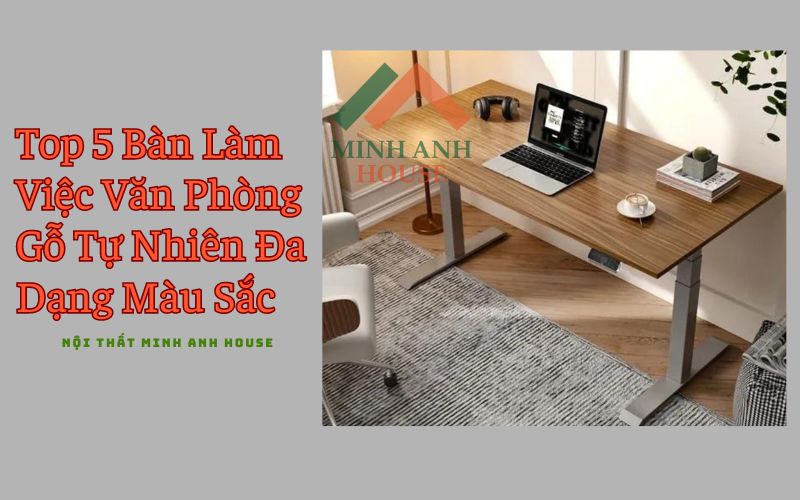Minh Anh House