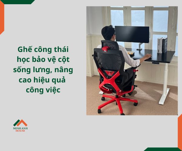 Ghế công thái học bảo vệ cột sống lưng, nâng cao hiệu quả công việc